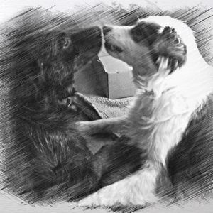 Meet your Posher, Ellen